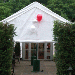 3-Balloon Cluster at entrance to marquee