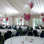 Calderfield Golf and Country Club - 3-balloon Clusters in magenta and white, with magenta topiary balls in the room corners
