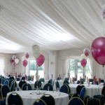 Calderfield Golf and Country Club - 3-balloon Clusters in magenta and white, with magenta topiary balls in the room corners