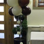 Calderfields- The entrance was decorated with 2 'Cloud 9's in the colour scheme of chocolate and ivory.
